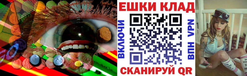 Ecstasy Philipp Plein  закладка  Железноводск 