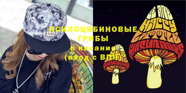 винт Абаза