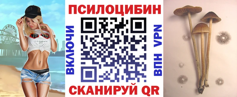 Галлюциногенные грибы мицелий  Железноводск 
